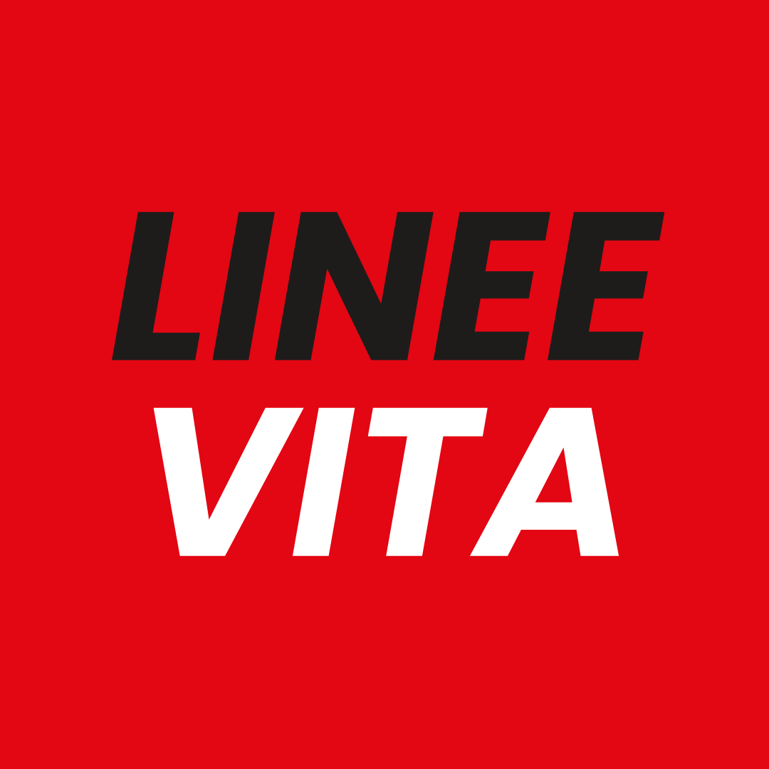 Linee Vita e Sistemi Anticaduta